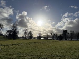 IMG_5592