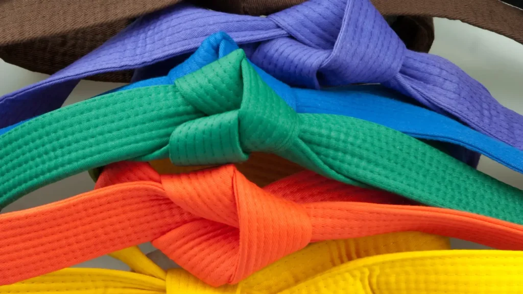 66ec5ab12872ab7a124bae34 63d8c00af34469691289764a all nine karate belts - Youth Krav Maga: Evolved
